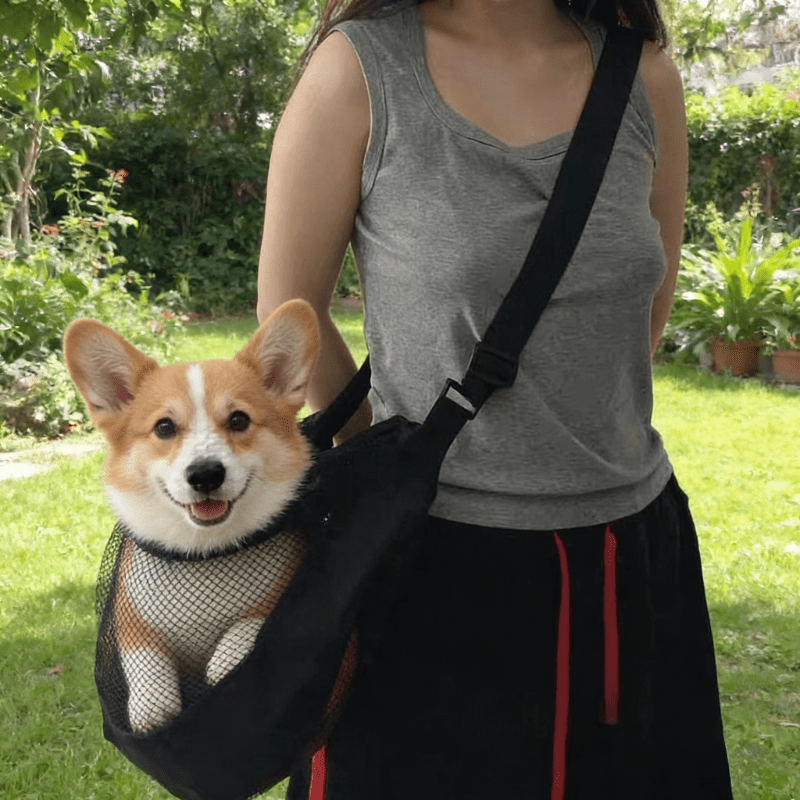 Travel Accessories For Dogs - Lightweight Breathable Mesh Dog Carrier for